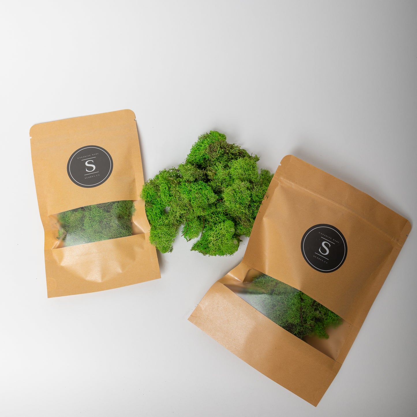 Large Bag of Green Moss